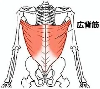 腰痛の原因、見つけてみませんか？