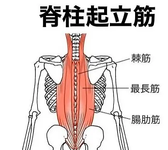 腰痛の原因、見つけてみませんか？