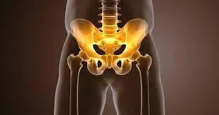 整体と評価でわかる白楽駅周辺の股関節ケアの最適解