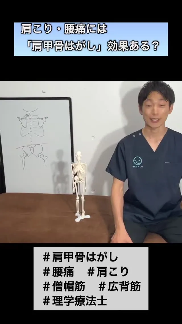 【肩こり・腰痛に効果ある？】