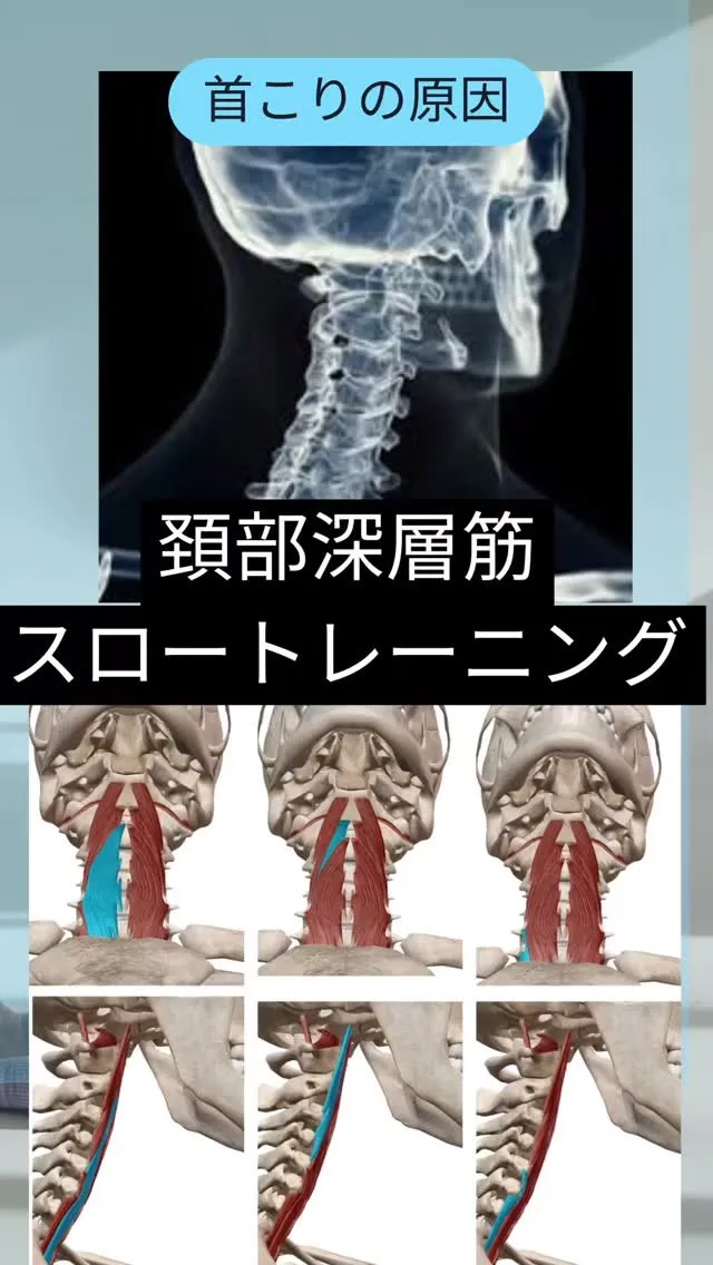 【座ったままできる首こり・ストレートネック改善】