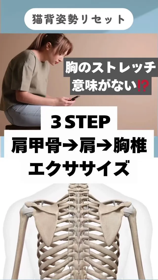 【猫背改善】胸のストレッチだけでは意味がない理由と、正しい順...